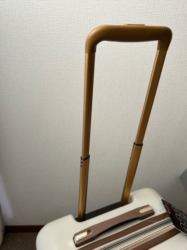 1件目のレビュー画像 | 2