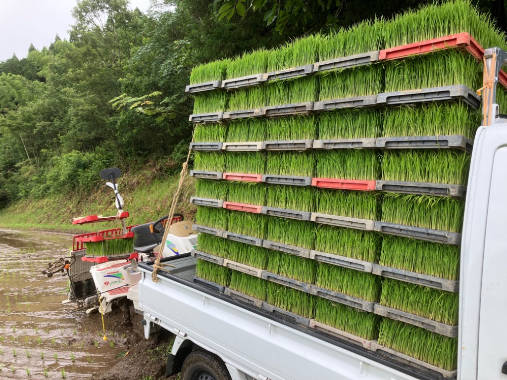 1件目のレビュー画像 | 0