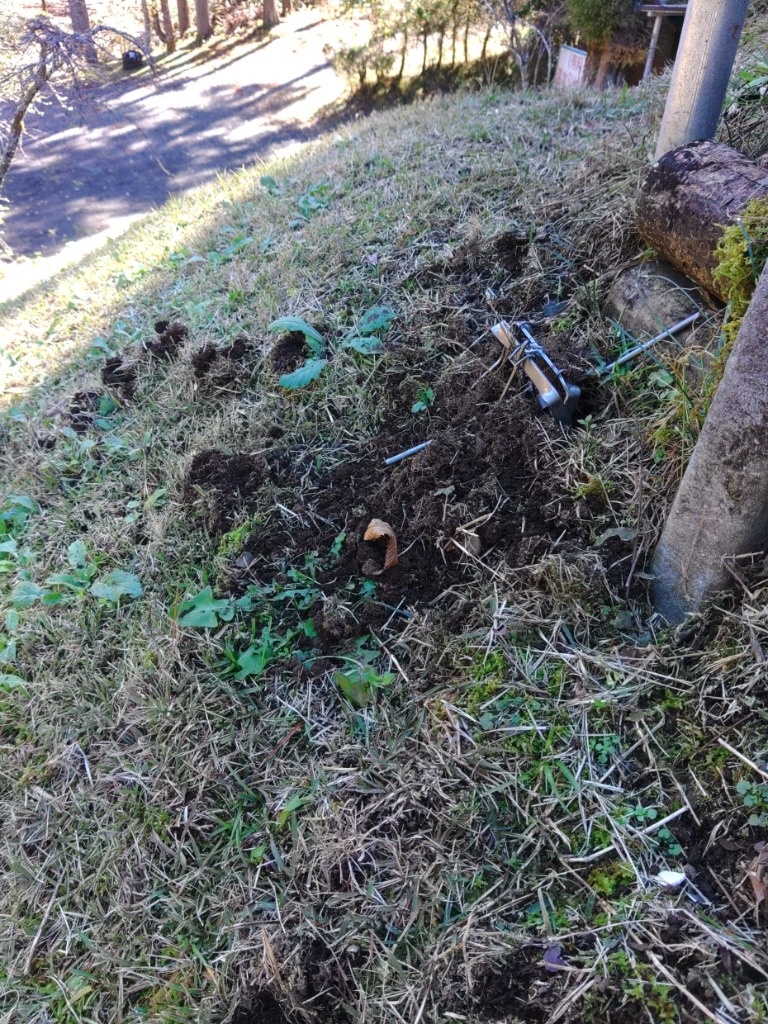 全体のレビュー画像 | 0-0