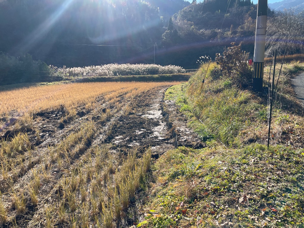 1件目のレビュー画像 | 0