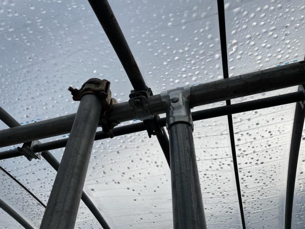 全体のレビュー画像 | 2-0