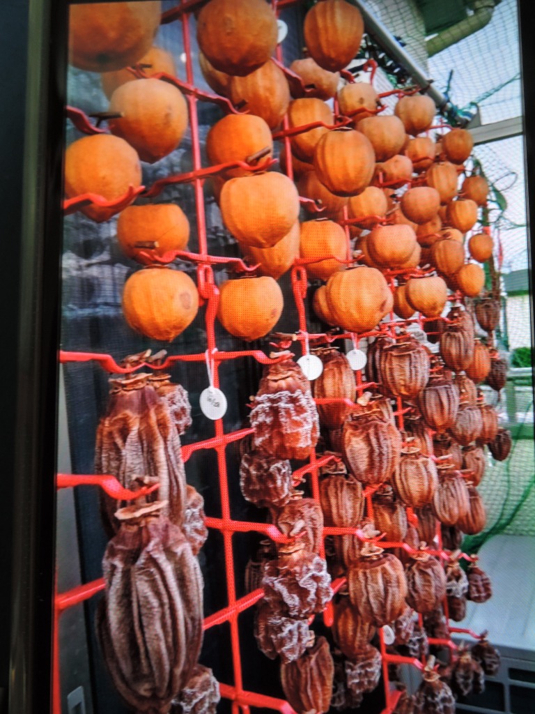 干し柿 ハンガー 赤 5段 5本 大型柿OK 干柿吊るし具 干し柿ハンガー ヤ