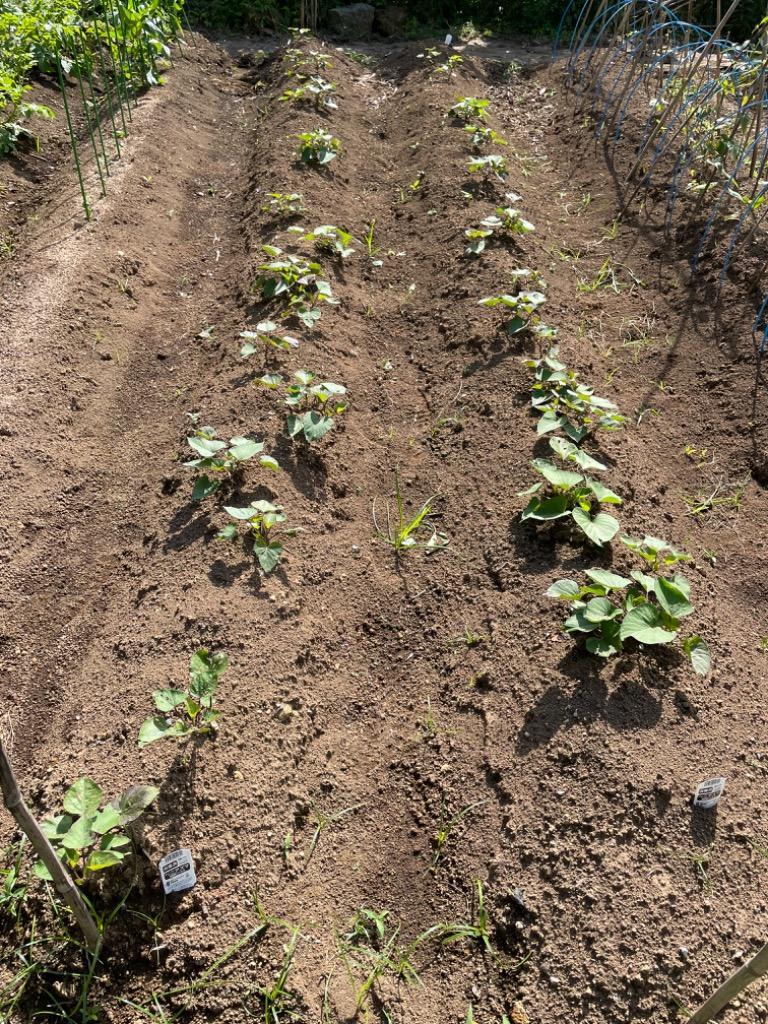 1件目のレビュー画像 | 0