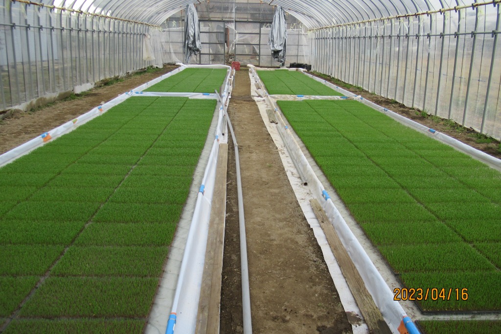 1件目のレビュー画像 | 0