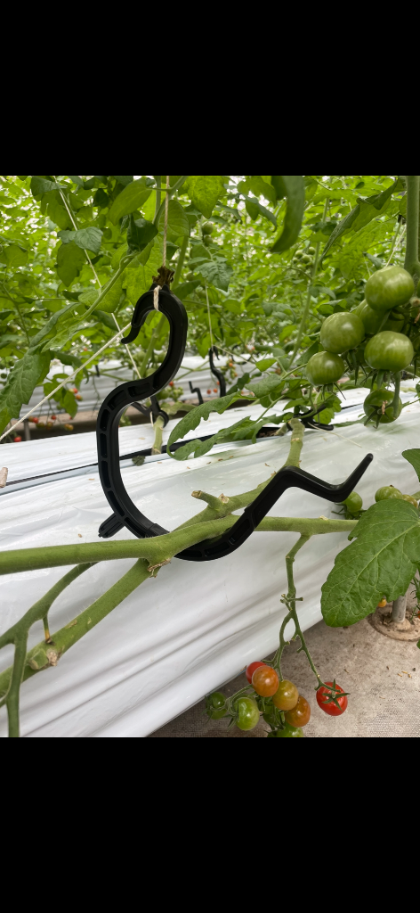 2件目のレビュー画像 | 0