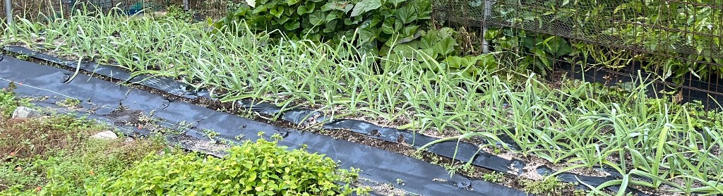 1件目のレビュー画像 | 0