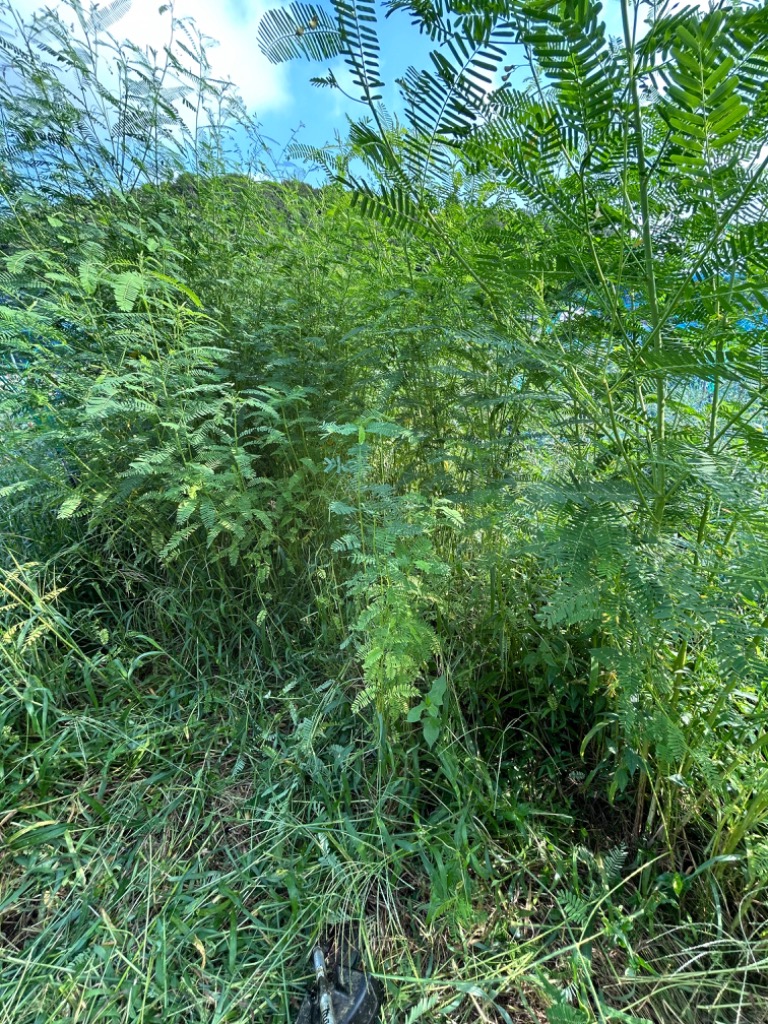 1件目のレビュー画像 | 0