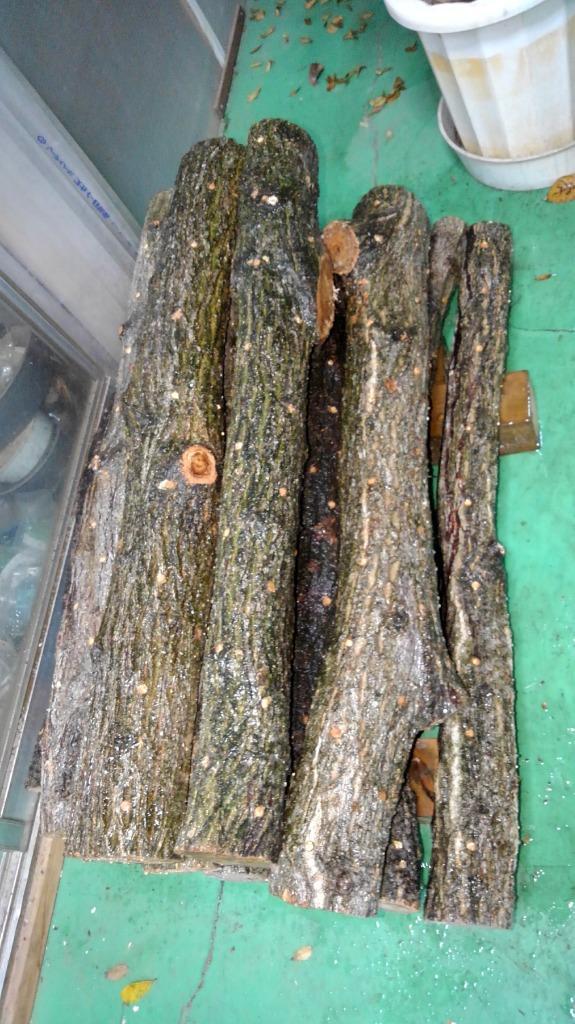 1件目のレビュー画像 | 0