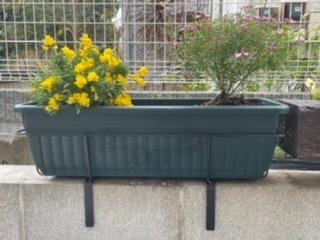 10件目のレビュー画像 | 0