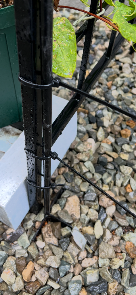 1件目のレビュー画像 | 1