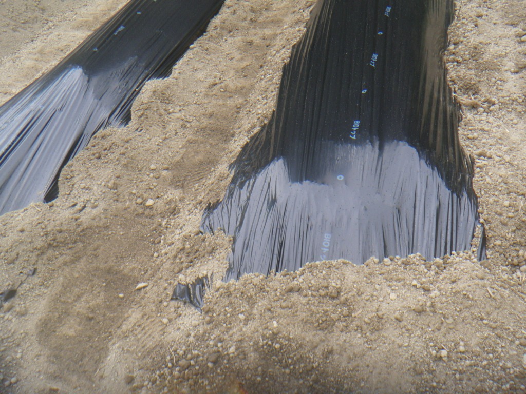 1件目のレビュー画像 | 0