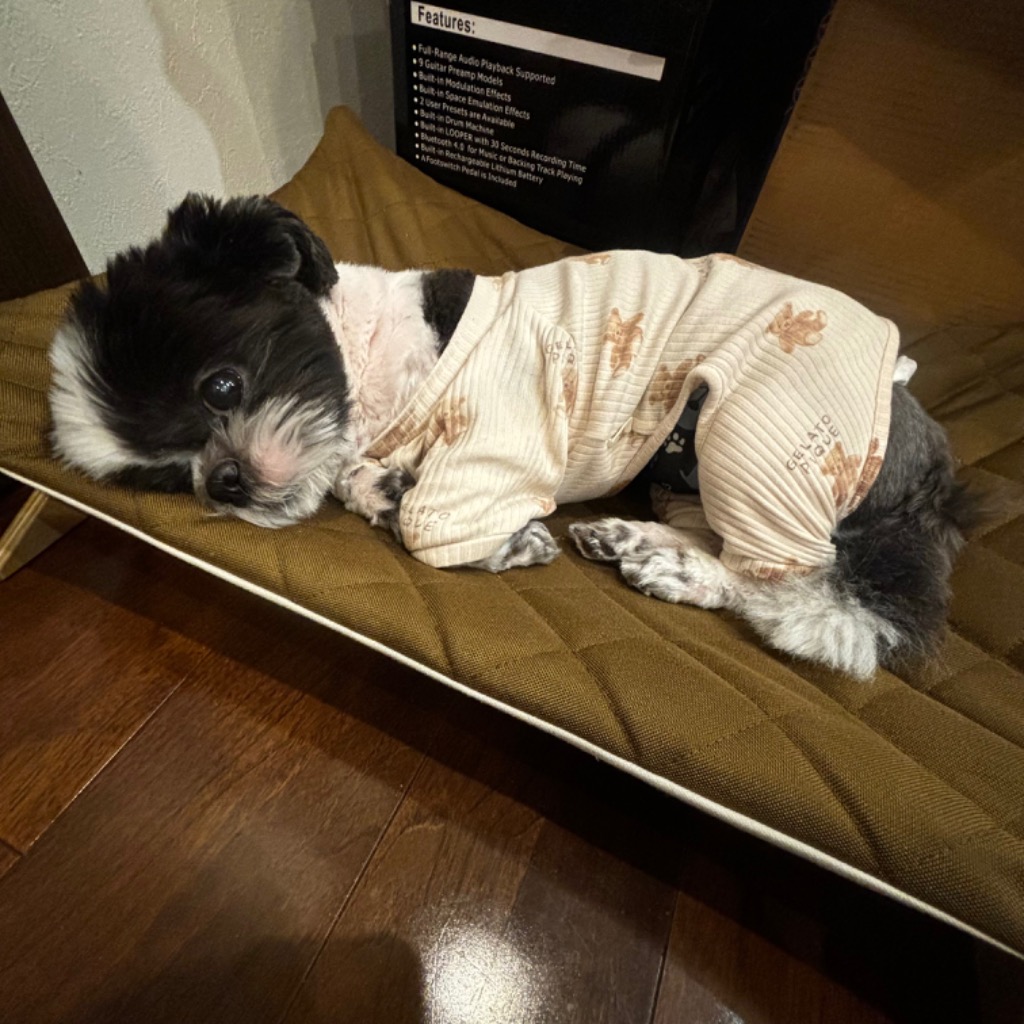 レビュー画像