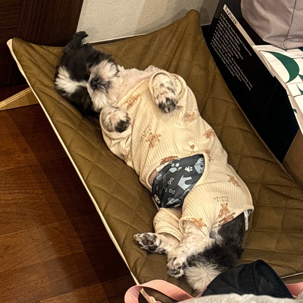 レビュー画像