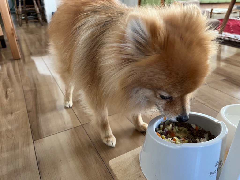 10件目のレビュー画像 | 0