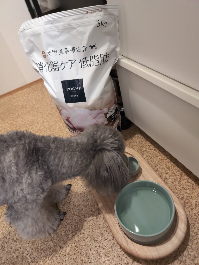 POCHI 食事療法食 消化器ケア 低脂肪 フレッシュターキー 3kg