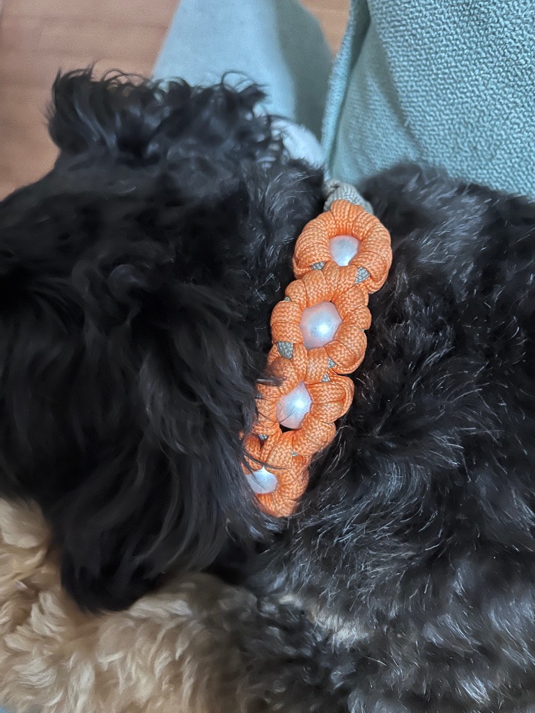 1件目のレビュー画像 | 0