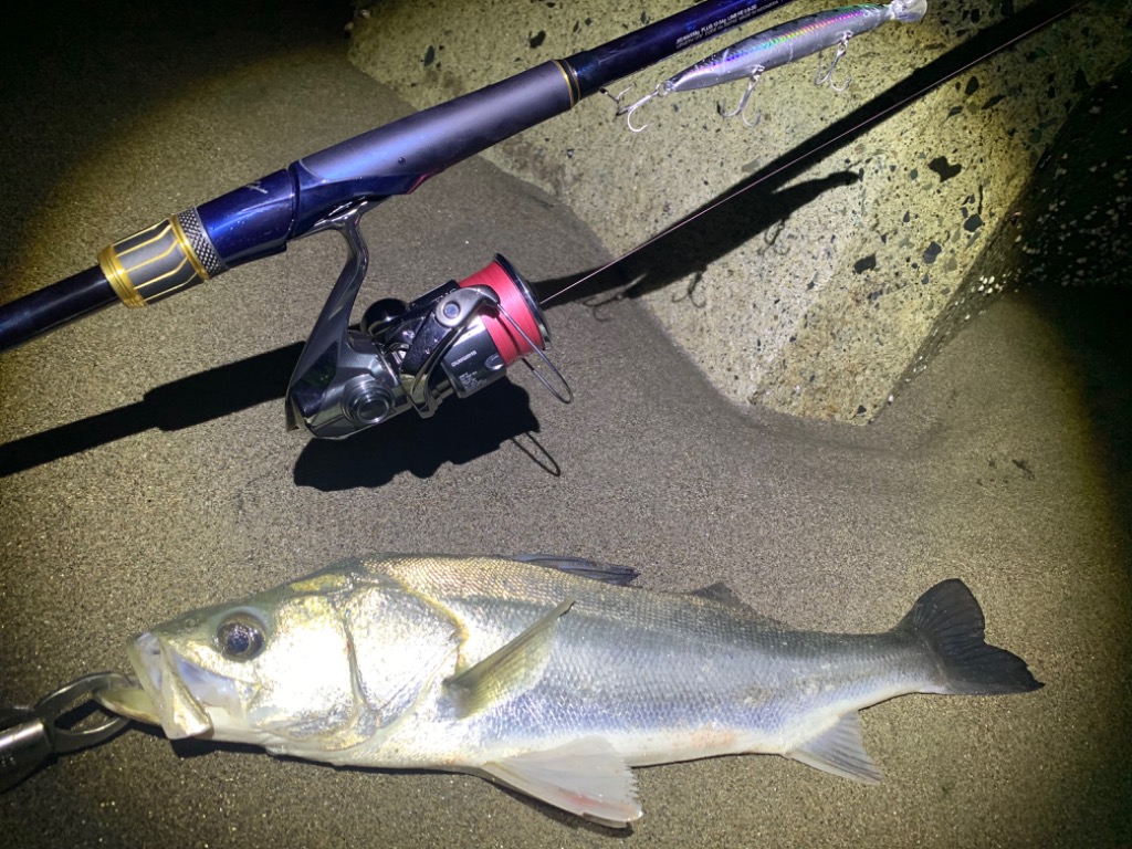 SHIMANO/シマノ) 33274 23 ネッサ リミテッド S108MH (332745