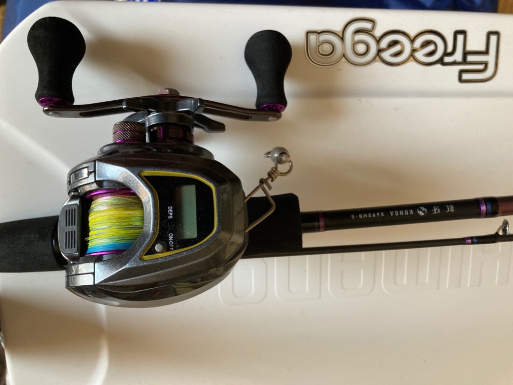 DAIWA（釣り） ダイワ ベイトリール ライト SW X ICL 左ハンドル