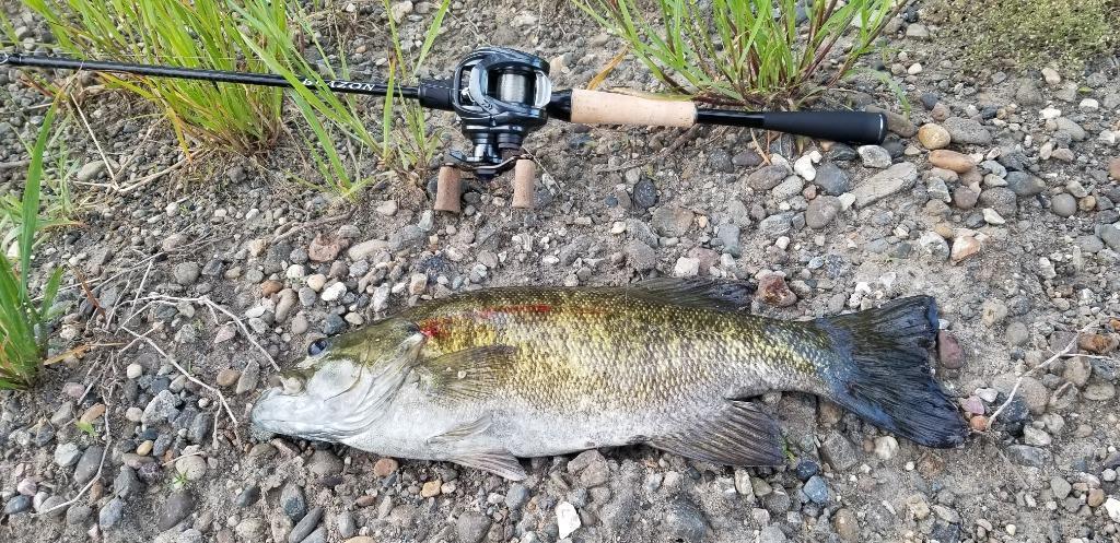 DAIWA 21ブレイゾン C68L-2・BF