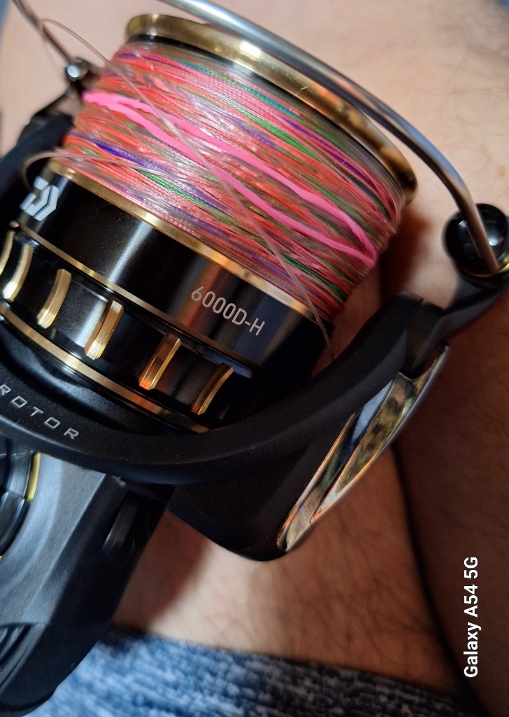 DAIWA(釣り) 23 BG SW 6000D-H スピニングリール - 最安値 DAIWA(釣り) 23 BG SW 6000D-H スピニングリール - 最安値