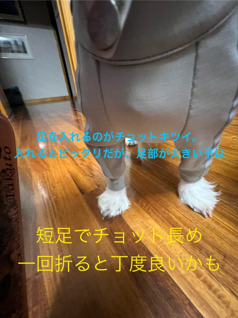 レビュー画像