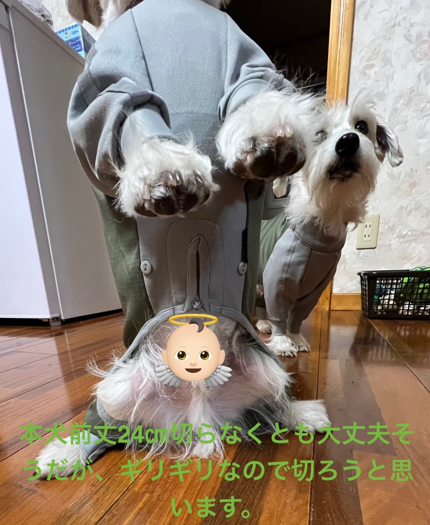 レビュー画像