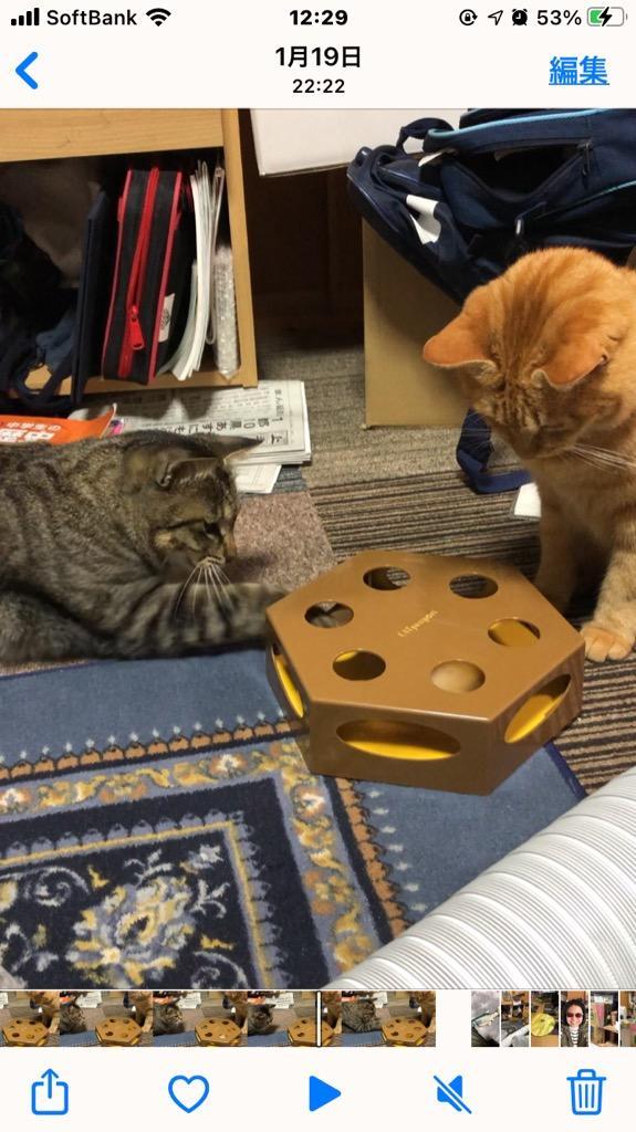 全体のレビュー画像 | 1-0