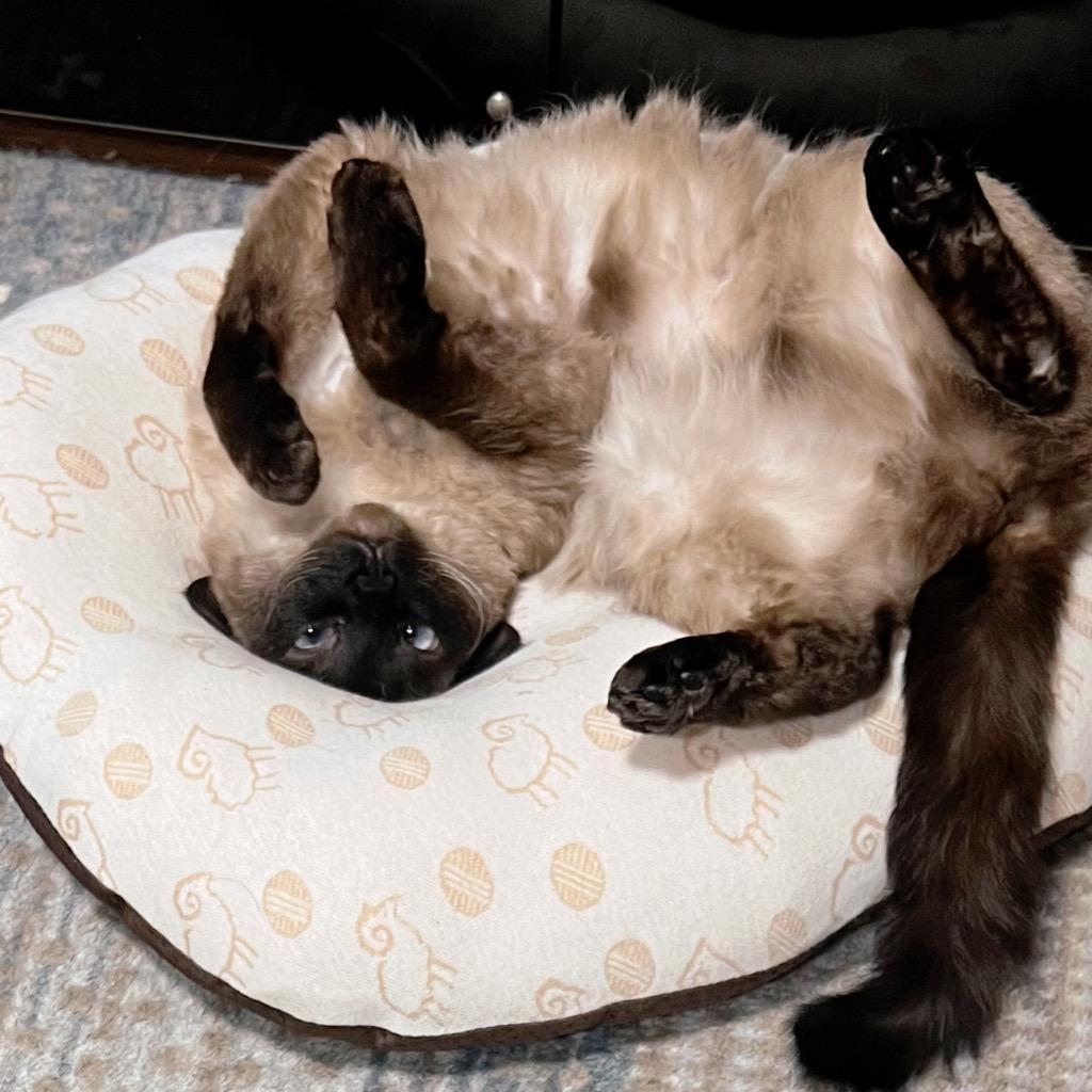 1件目のレビュー画像 | 1