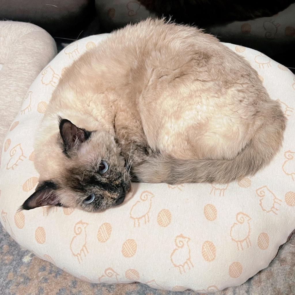 1件目のレビュー画像 | 0