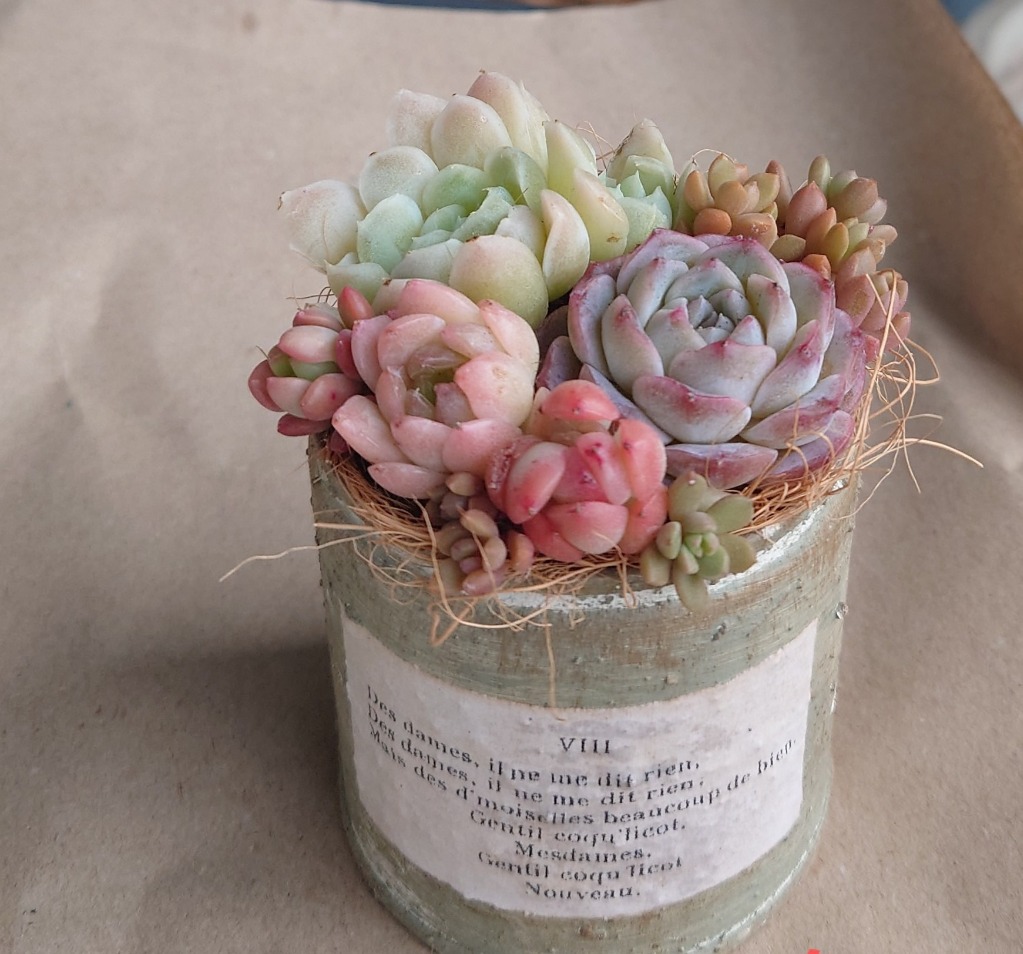 ハンドメイド 多肉植物寄せ植えに リメイク缶S-02 アーミー