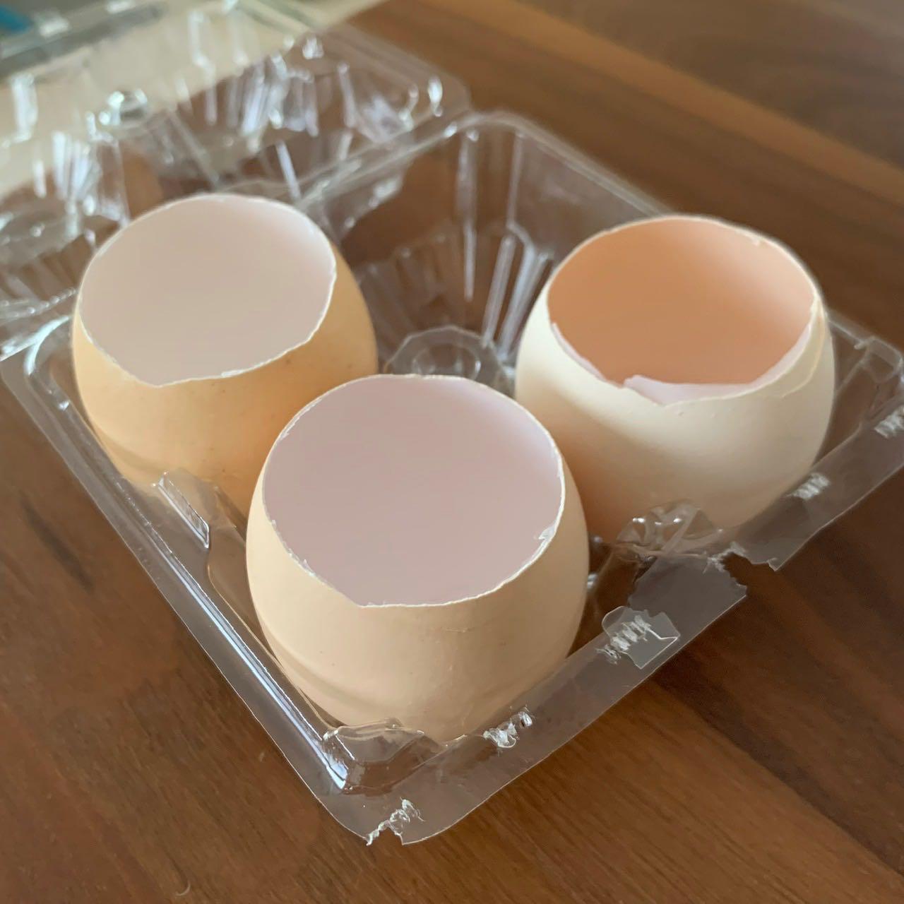 エッグシェルカッター 卵 殻 剥き器 エッグカッター エッグ