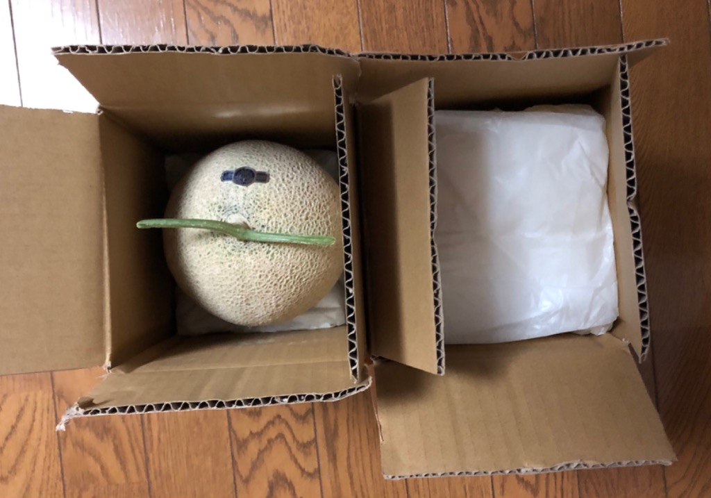 レビュー画像
