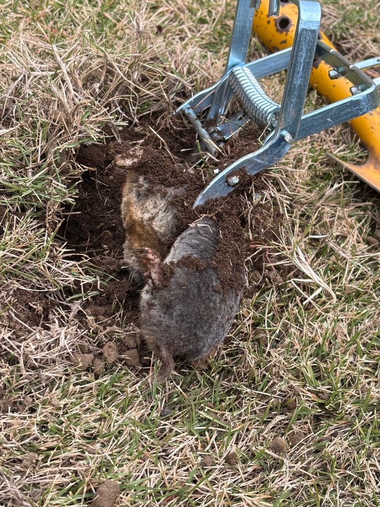 全体のレビュー画像 | 0-0