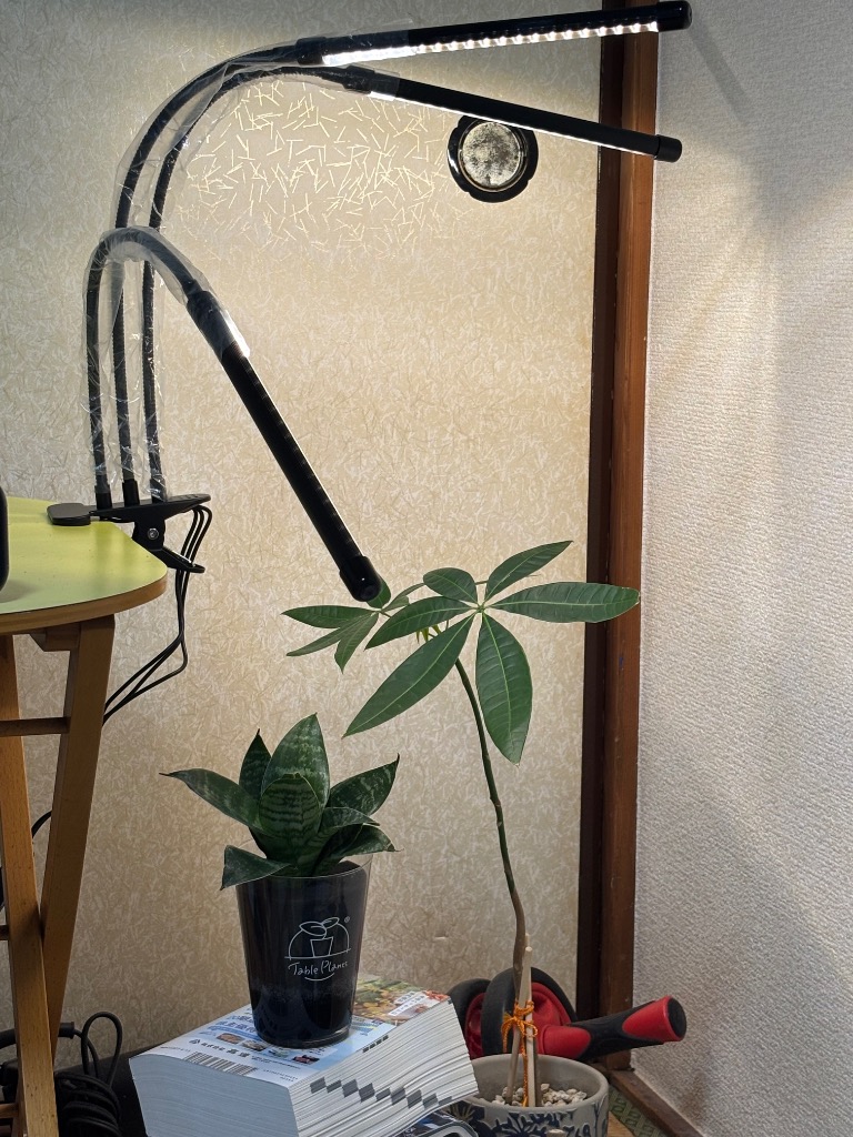 3枚セット　植物育成用LEDライト 60w　30×30 植物ライト LED 植物育成ライト 3灯 植物育成用ledライト