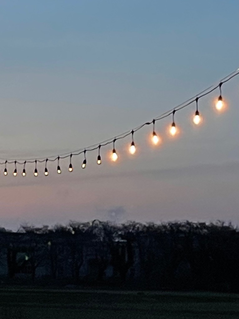 全体のレビュー画像 | 3-0