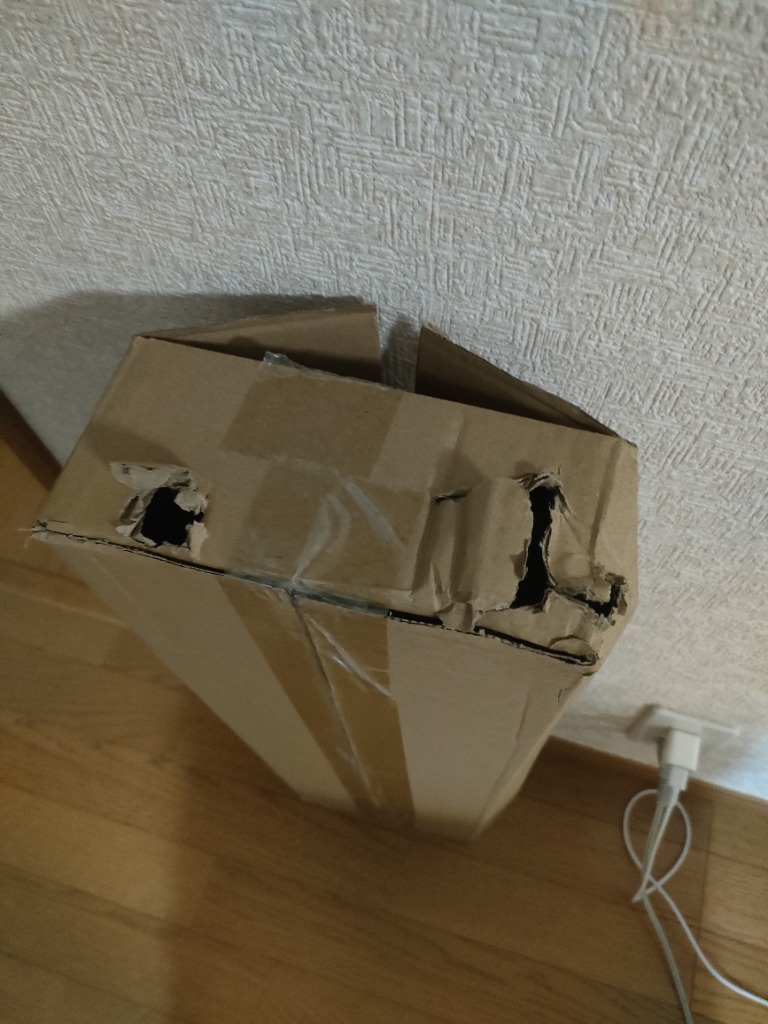 レビュー画像