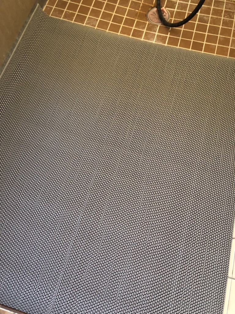 全体のレビュー画像 | 0-0