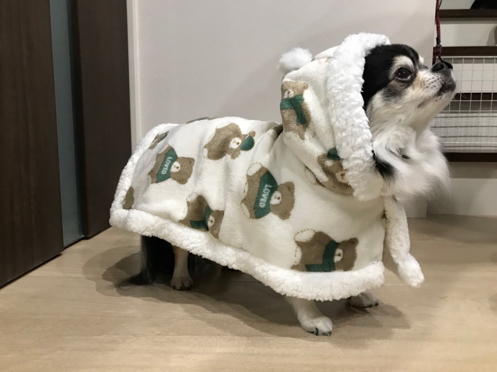 レビュー画像