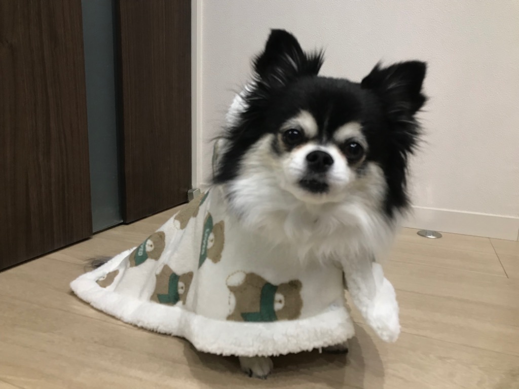 レビュー画像