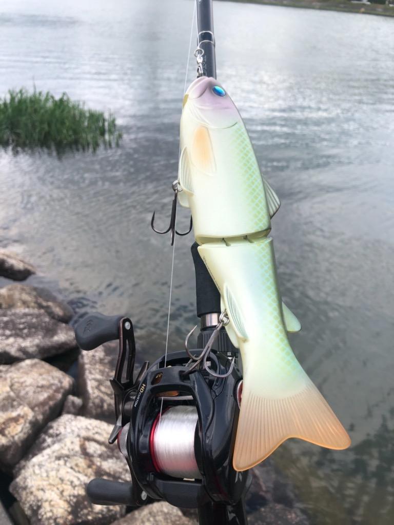 deps new SLIDE SWIMMER 250 SS（ デプス ニュー スライド