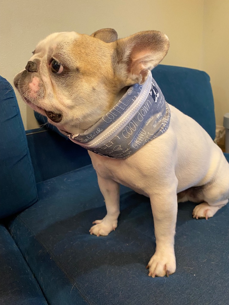 全体のレビュー画像 | 1-1