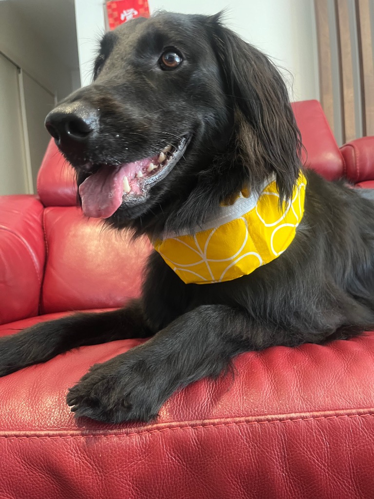 全体のレビュー画像 | 0-0