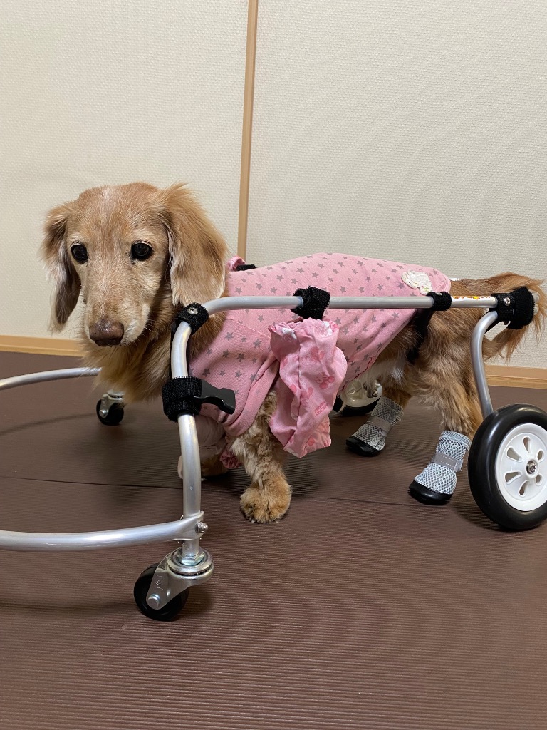 全体のレビュー画像 | 0-0