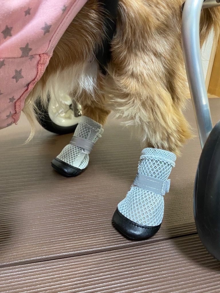 全体のレビュー画像 | 0-1