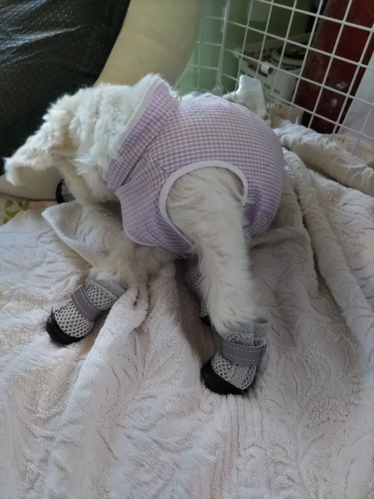 全体のレビュー画像 | 6-0