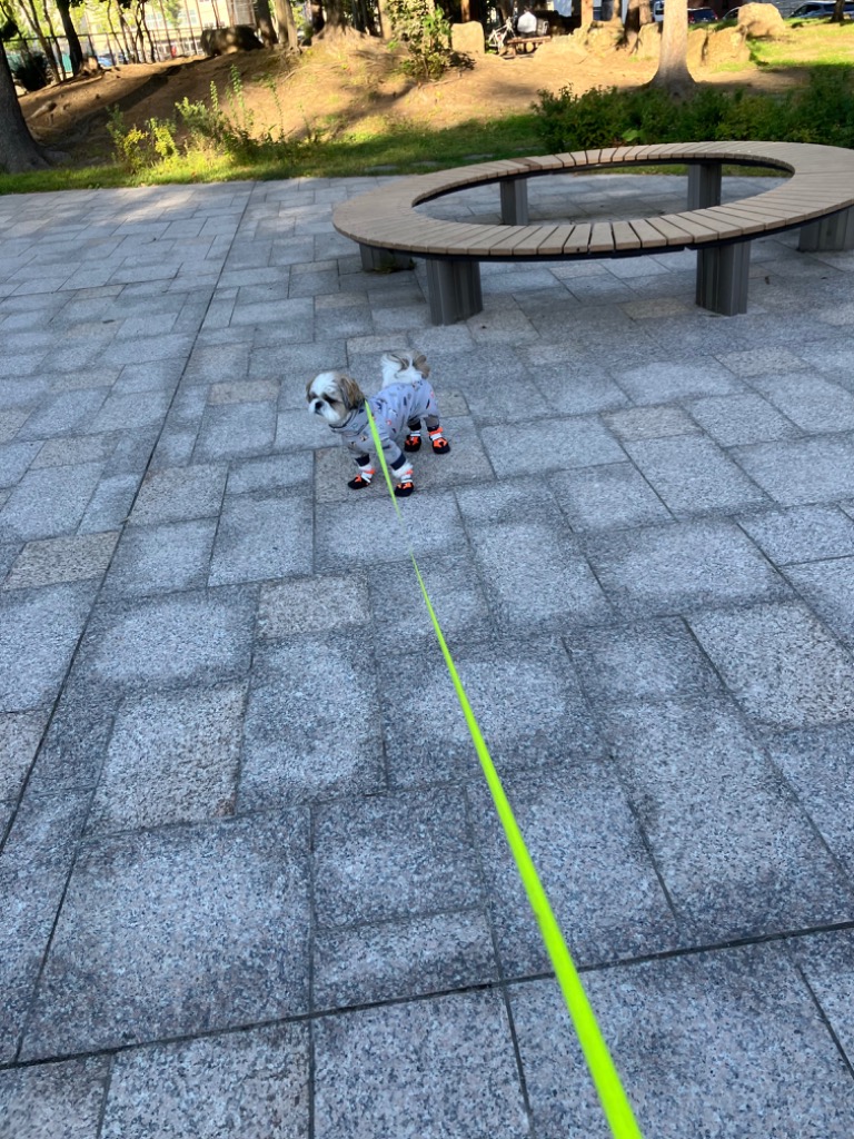 1件目のレビュー画像 | 0