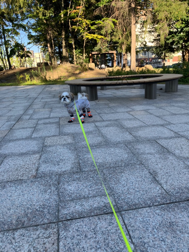 1件目のレビュー画像 | 1