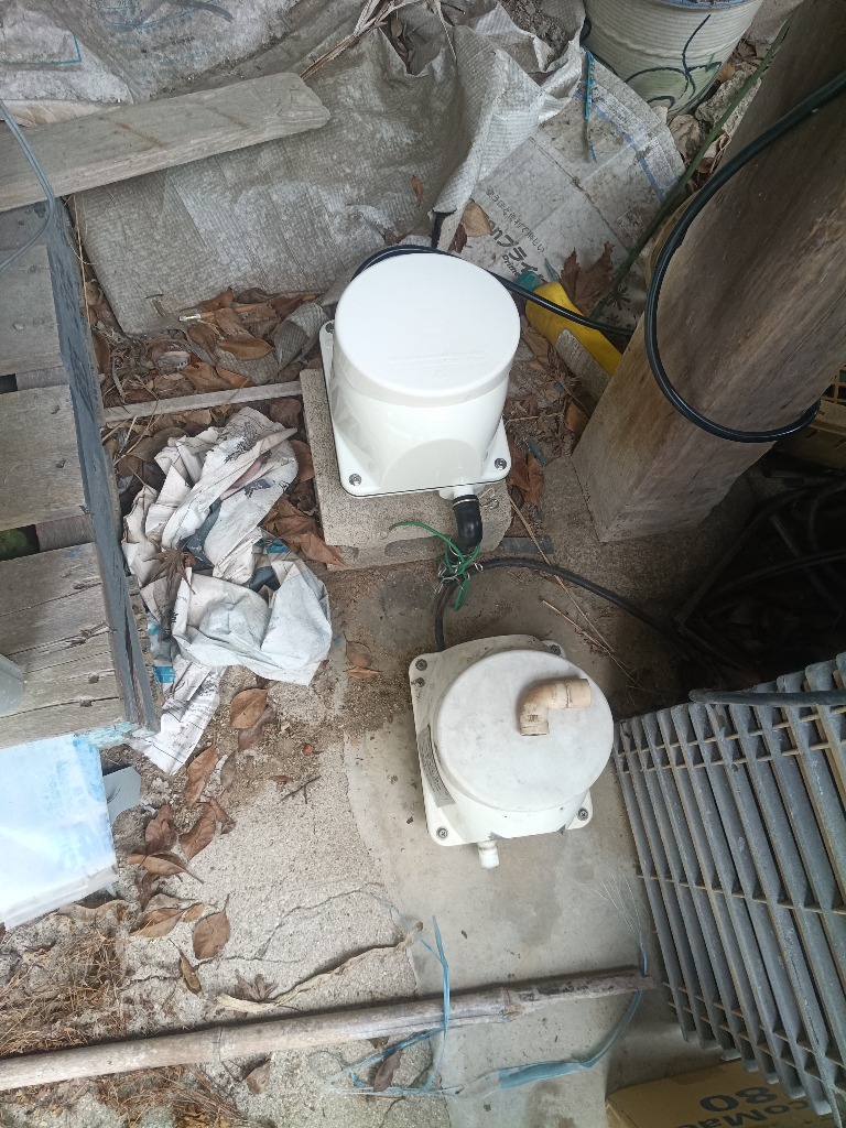 1件目のレビュー画像 | 1