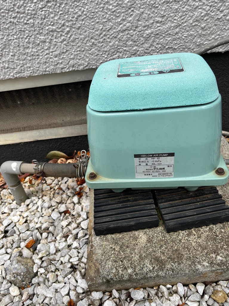 1件目のレビュー画像 | 2
