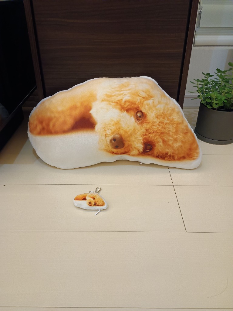 全体のレビュー画像 | 0-0